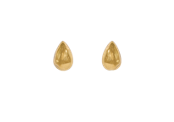 Seed Gold Earrings