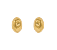 Root Gold Earrings