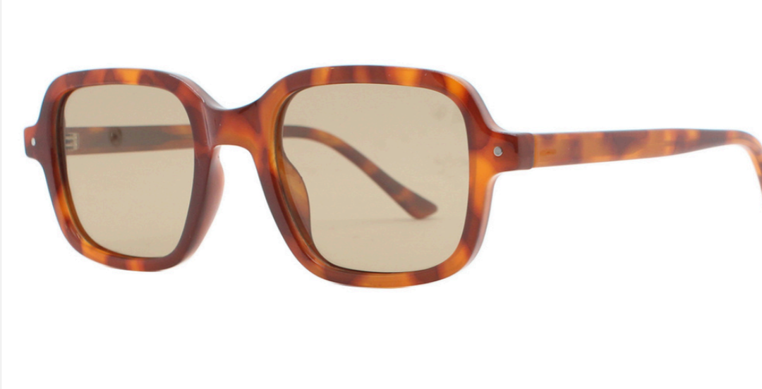 Emeri Tortoise