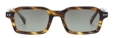 Valor Tortoise (Essence)