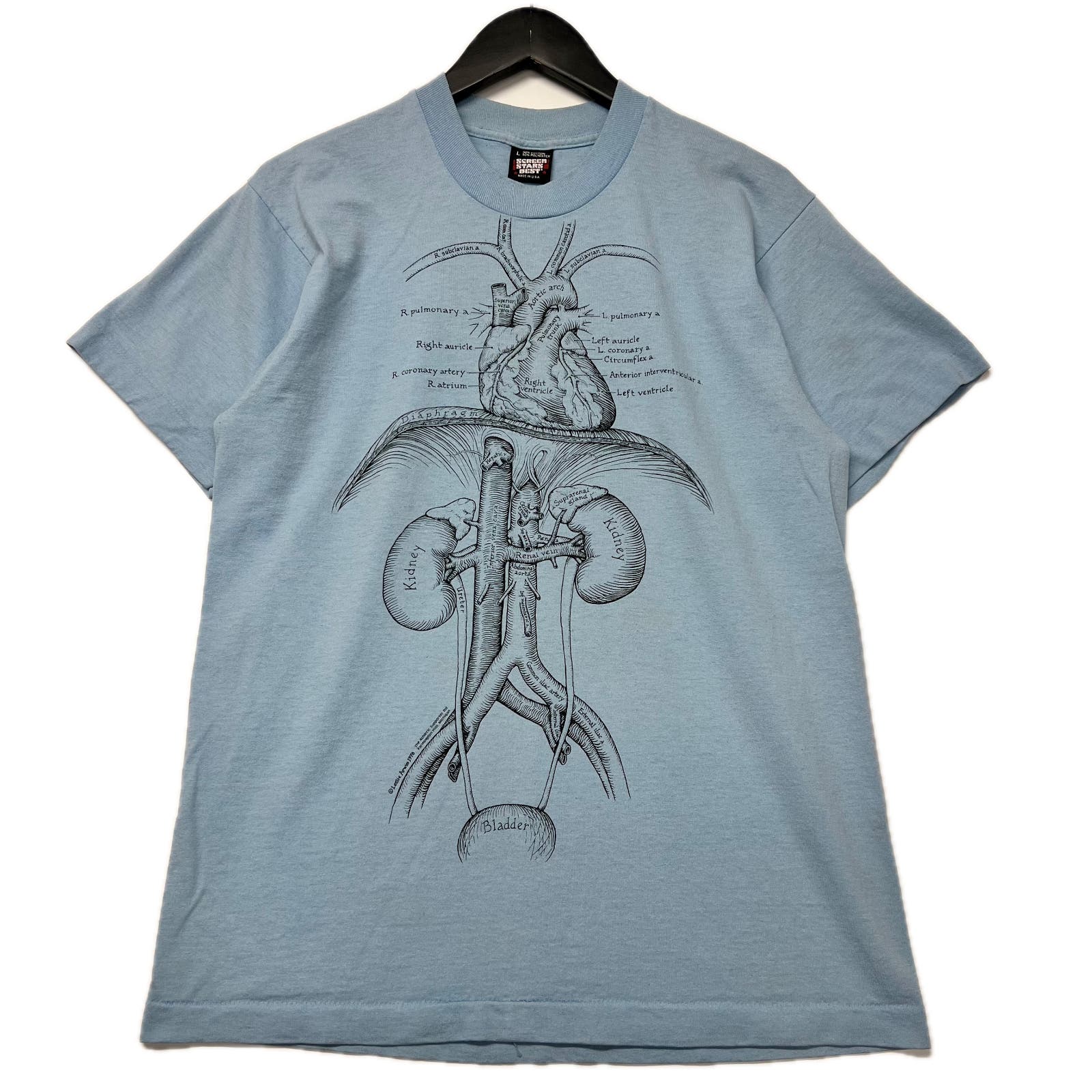 Vintage 80s Human Anatomy Blue T-shirt Size L Screen Stars Leslie Arwin